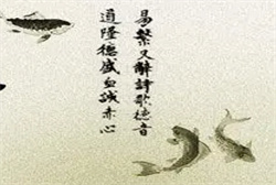梦见好多野兔子跟着我走
