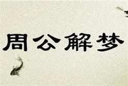 女人梦见自己喜欢的人在十字路口
